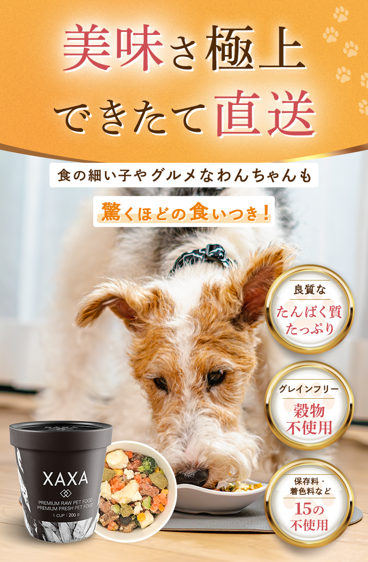 『美味さ極上 できたて直送』食の細い子やグルメなわんちゃんも驚くほどの食いつき！ ①良質なタンパク質たっぷり ②グレインフリー｜穀物不使用 ③保存料・着色料など15の不使用