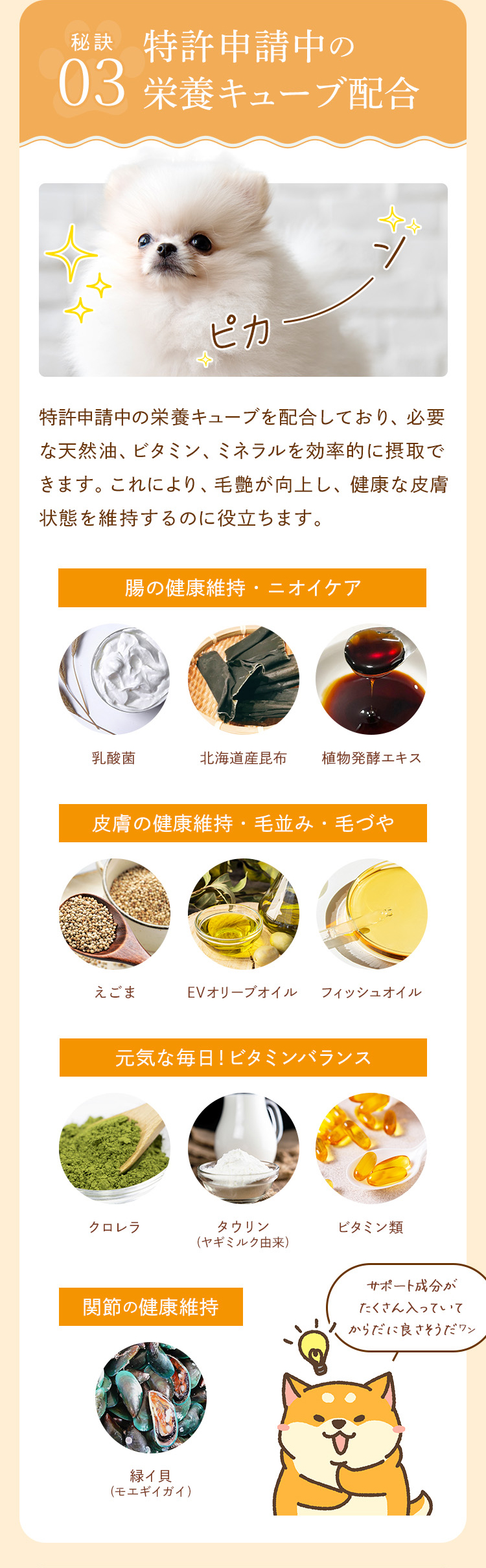 特許申請中の栄養キューブが配合されているから、ビタミン・ミネラル・天然油を効率的に摂取！