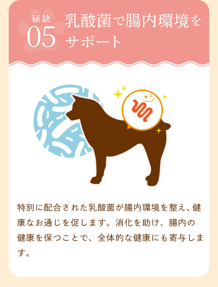 乳酸菌配合で、腸内環境をサポート！