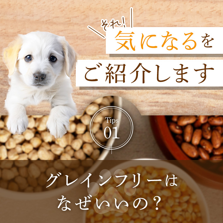 グレインフリーってなぜいいの？