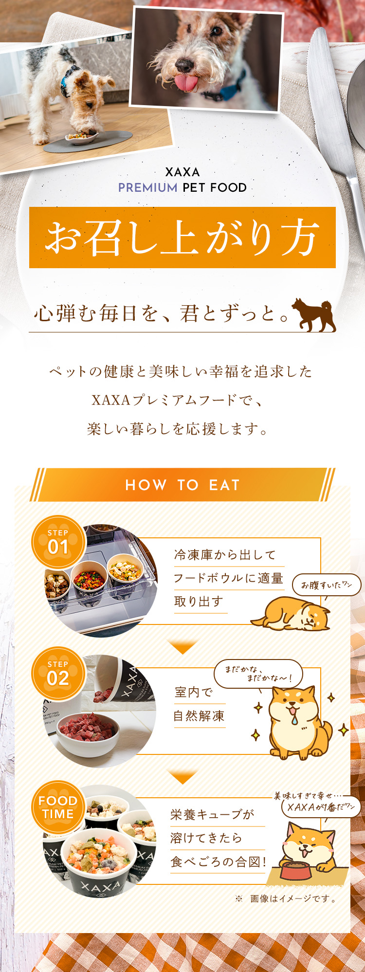 XAXAのおいしい食べ方をご紹介